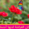 ⁦كان يا مكان - قصص عربية للأطفال⁩ - الصورة ⁦5⁩